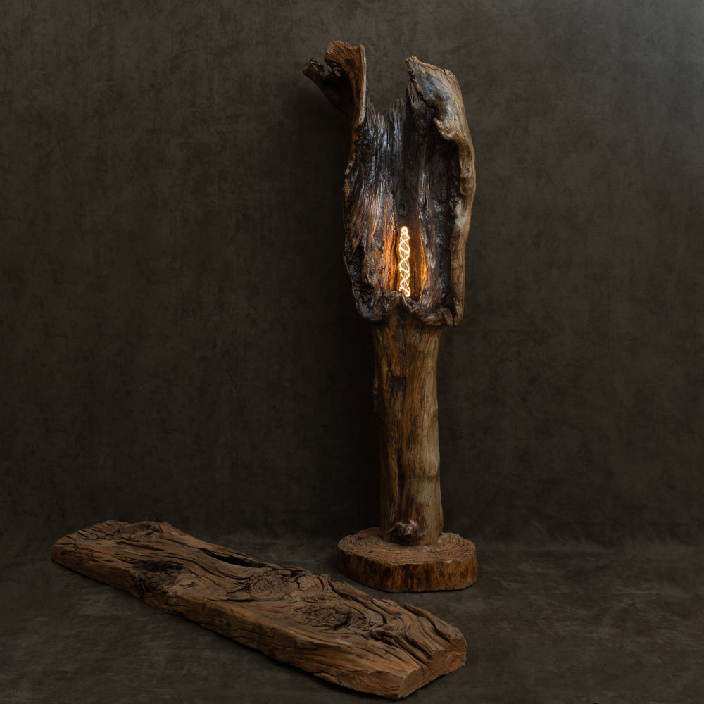 מנורה גזע עץ